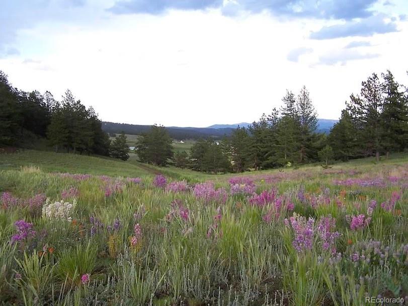 MLS Image #10 for 39858  us-24 ,lake george, Colorado