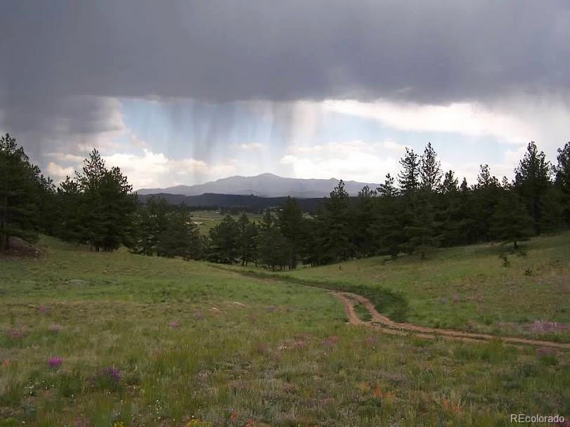 MLS Image #14 for 39858  us-24 ,lake george, Colorado