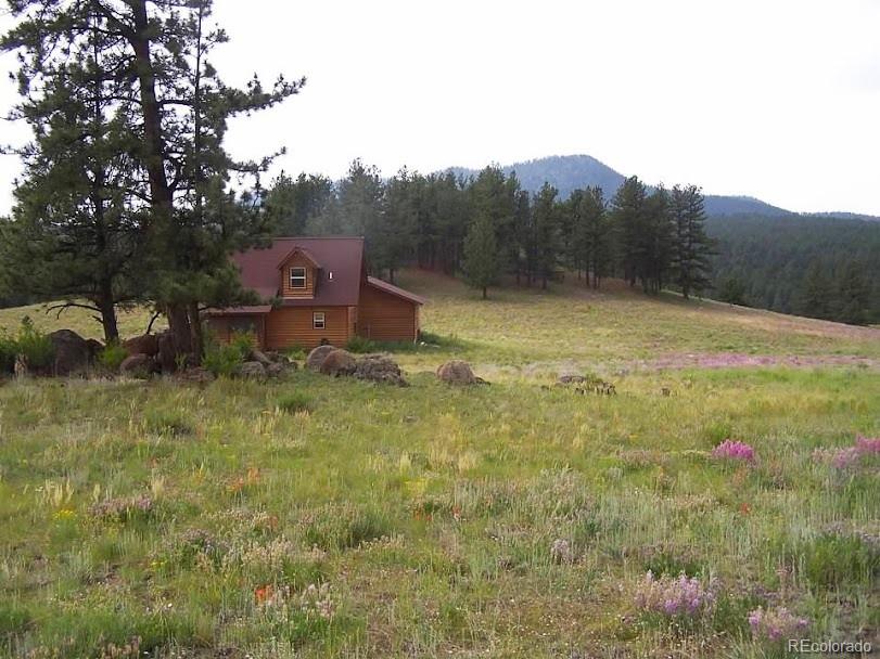 MLS Image #15 for 39858  us-24 ,lake george, Colorado