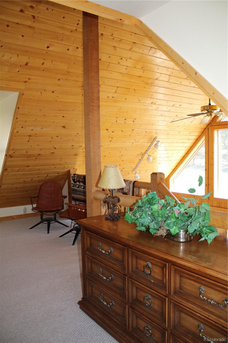 MLS Image #23 for 39858  us-24 ,lake george, Colorado