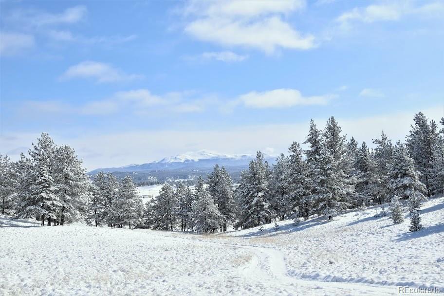 MLS Image #3 for 39858  us-24 ,lake george, Colorado