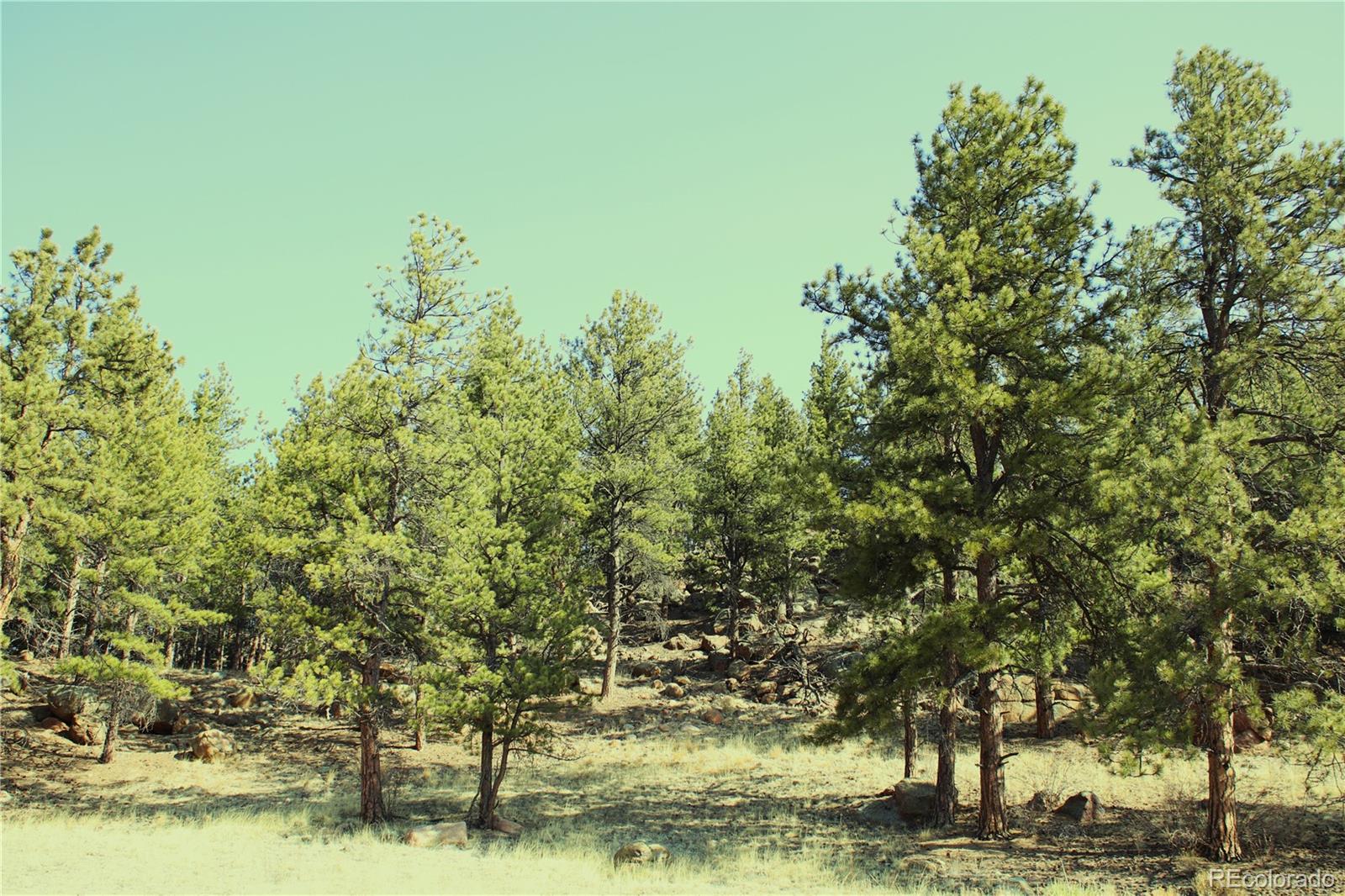 MLS Image #5 for 39858  us-24 ,lake george, Colorado