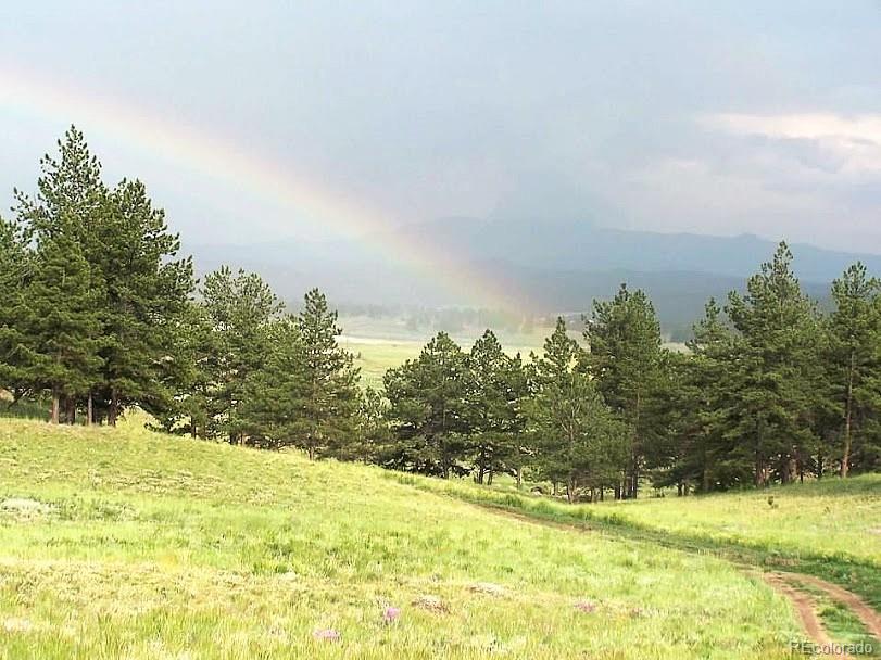 MLS Image #7 for 39858  us-24 ,lake george, Colorado