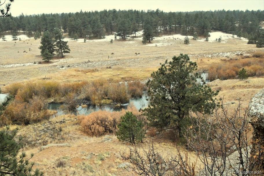 MLS Image #9 for 39858  us-24 ,lake george, Colorado