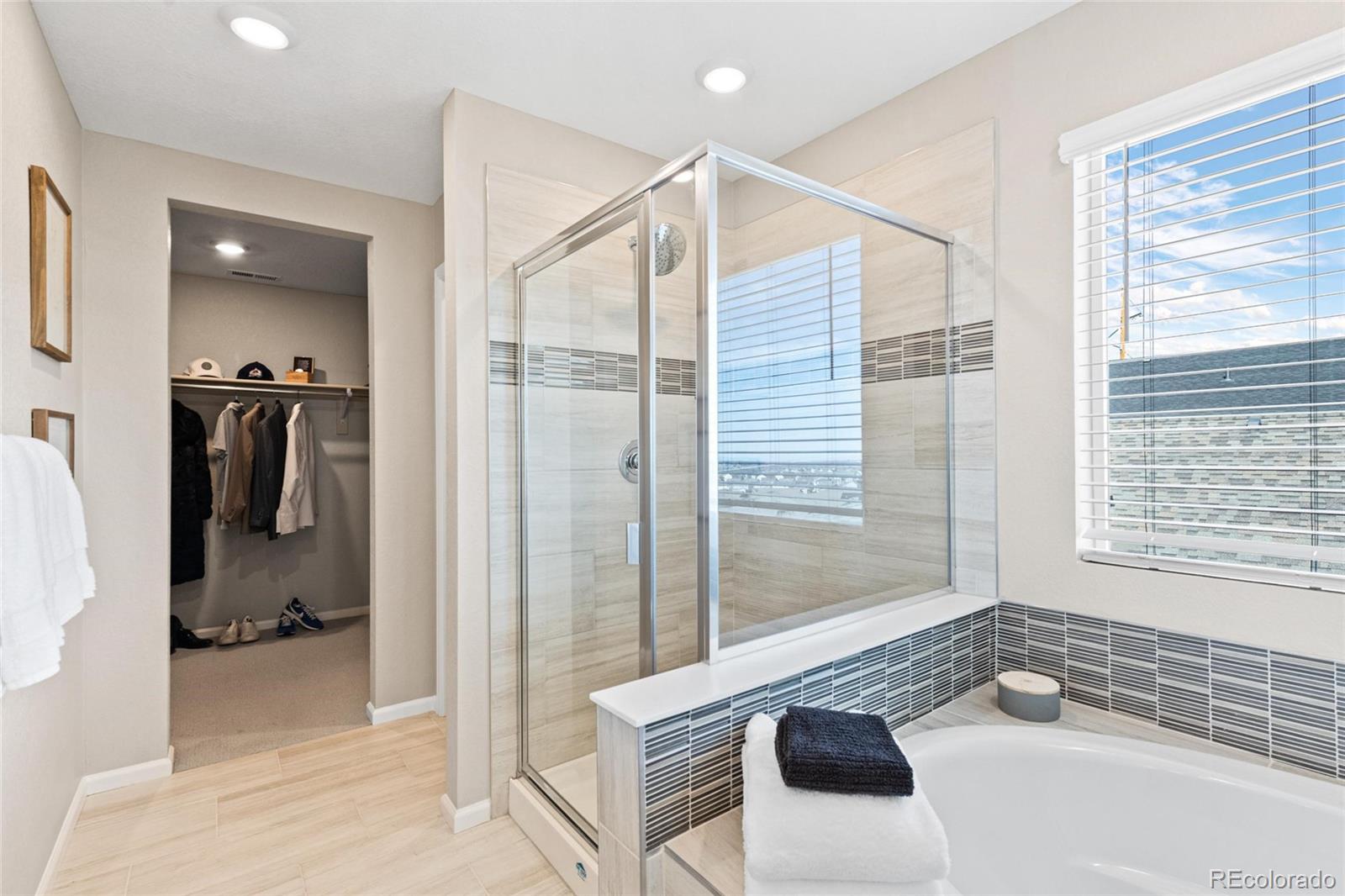 MLS Image #24 for 490  silver rock trail,castle rock, Colorado