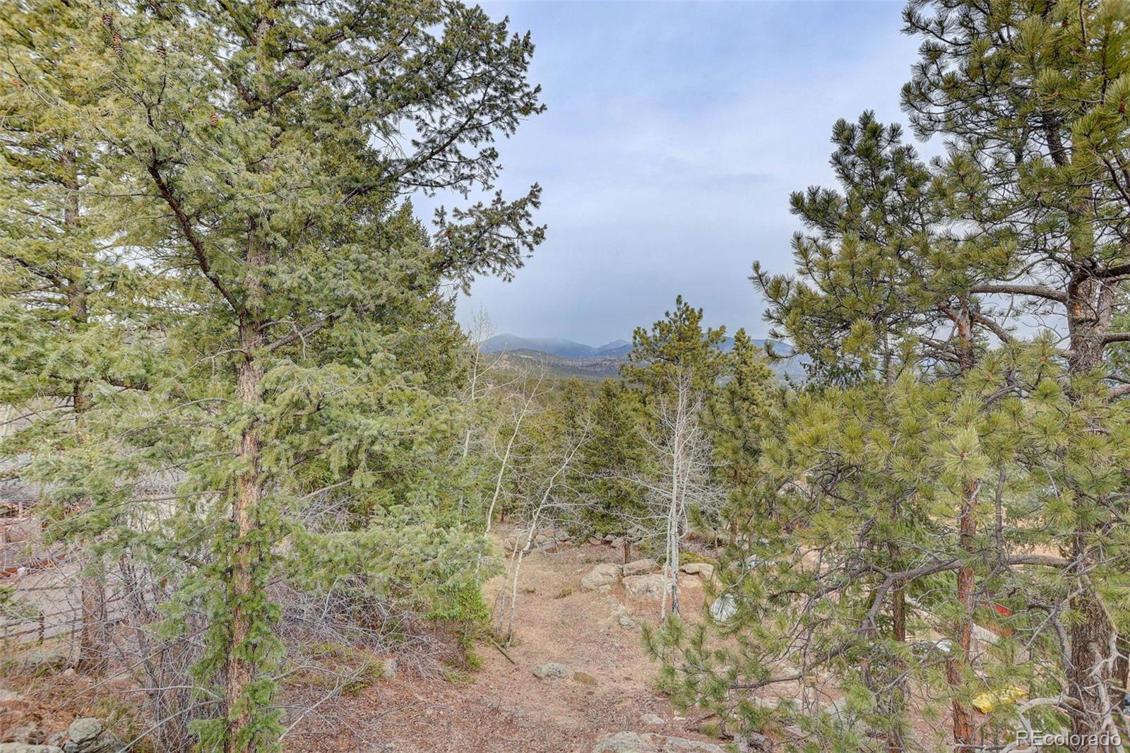 MLS Image #26 for 27857  apex circle,evergreen, Colorado
