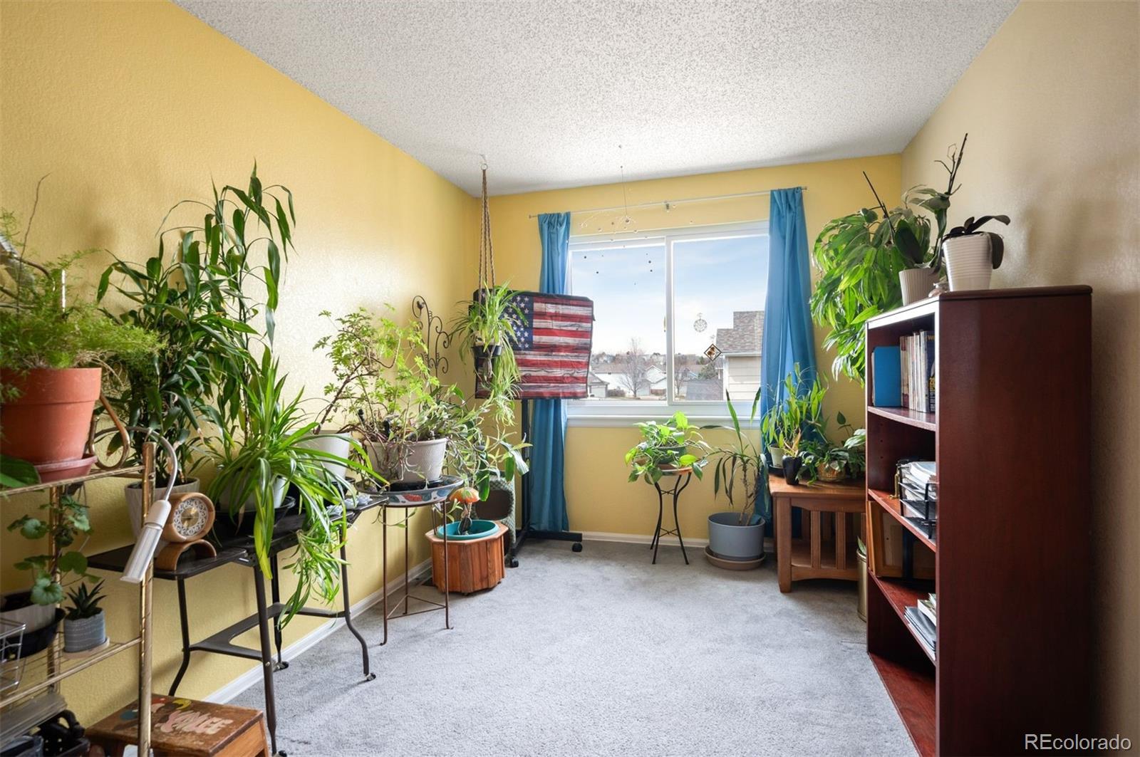 MLS Image #22 for 11207  day star court,parker, Colorado