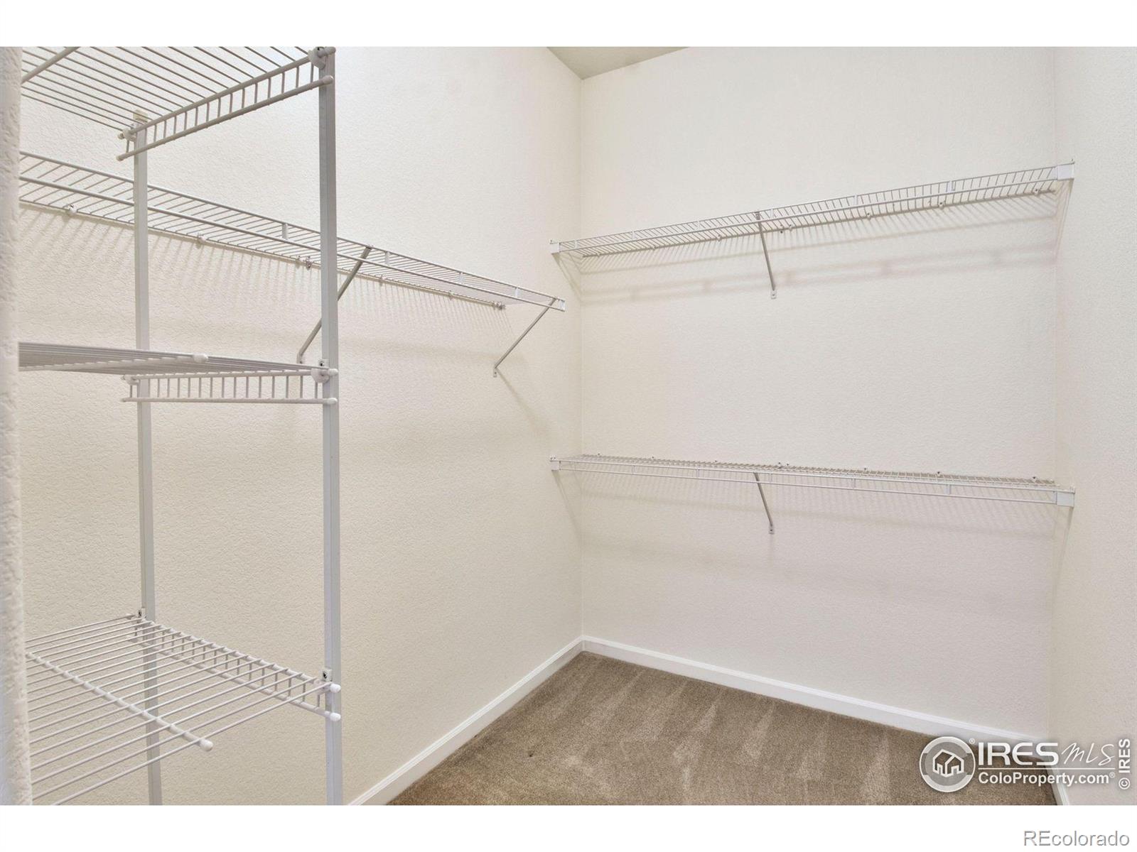 MLS Image #23 for 1518  whitehall drive,longmont, Colorado