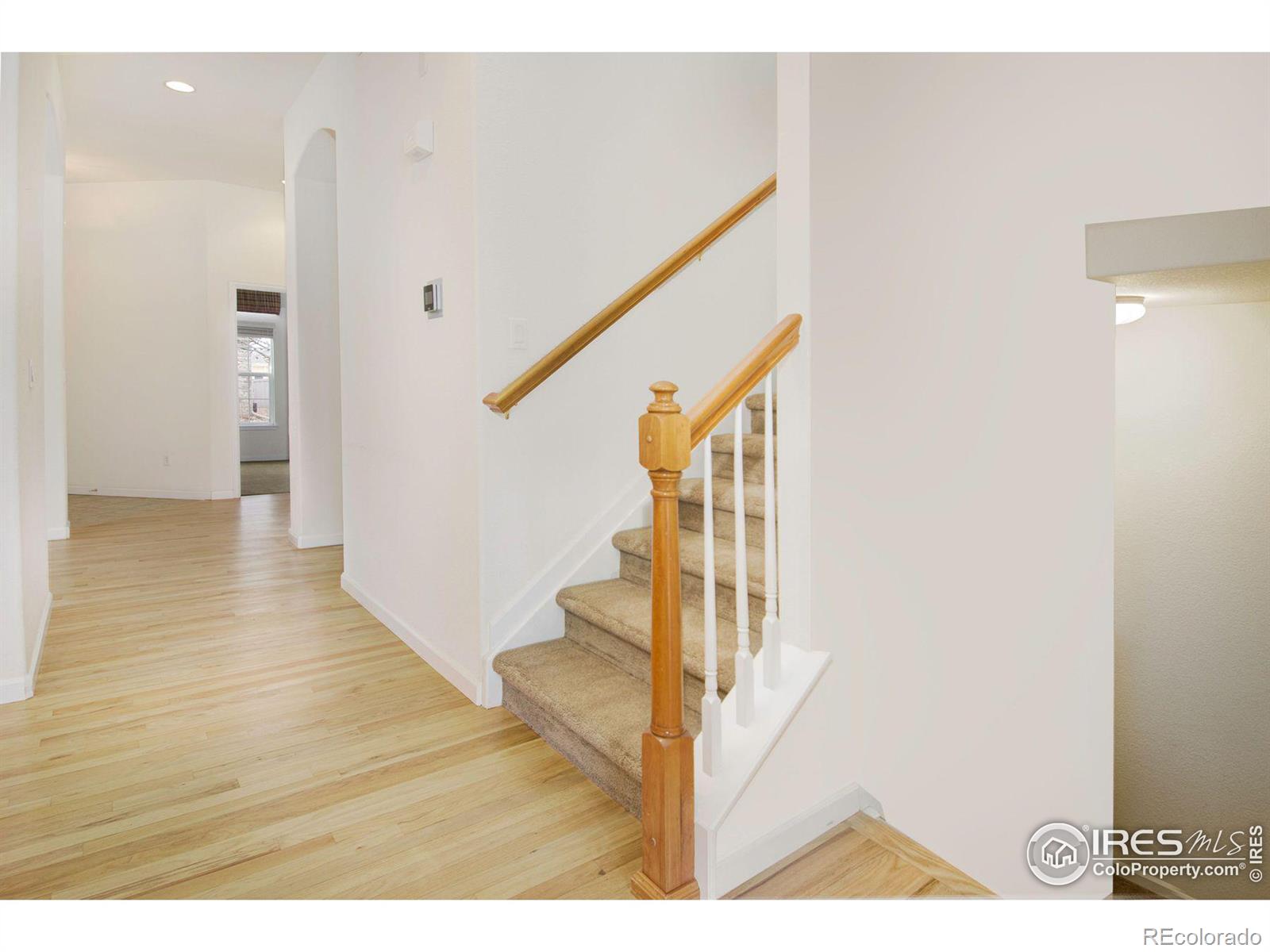 MLS Image #24 for 1518  whitehall drive,longmont, Colorado