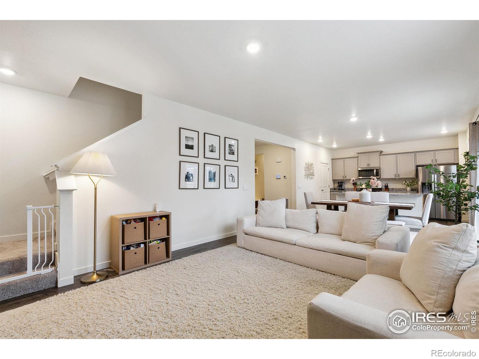 MLS Image #12 for 3771  catmint street,wellington, Colorado
