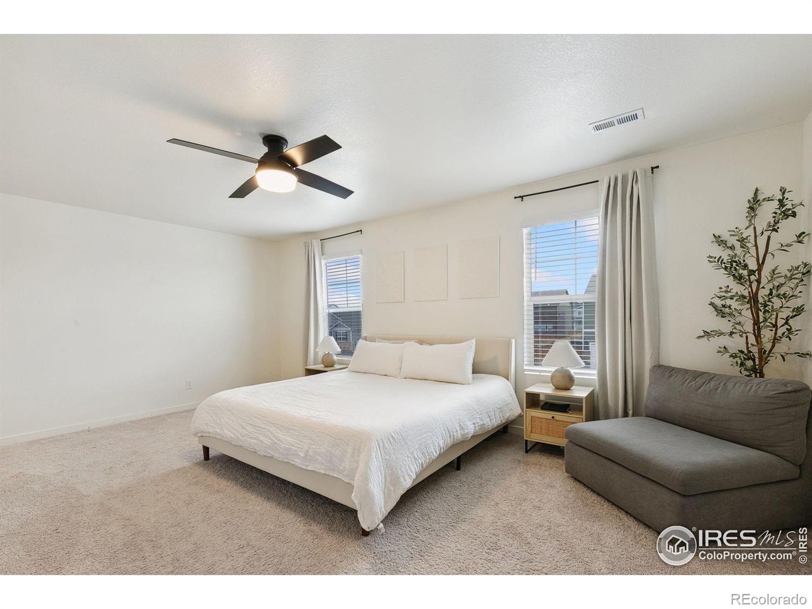 MLS Image #18 for 3771  catmint street,wellington, Colorado