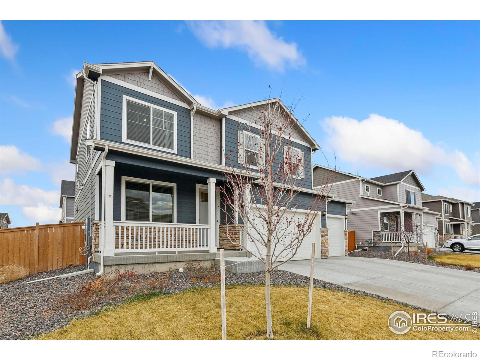 MLS Image #2 for 3771  catmint street,wellington, Colorado