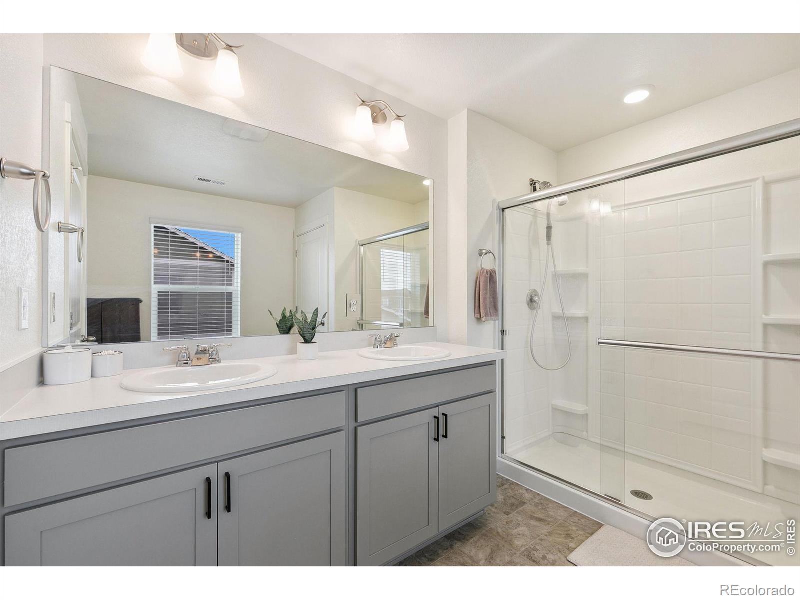 MLS Image #21 for 3771  catmint street,wellington, Colorado