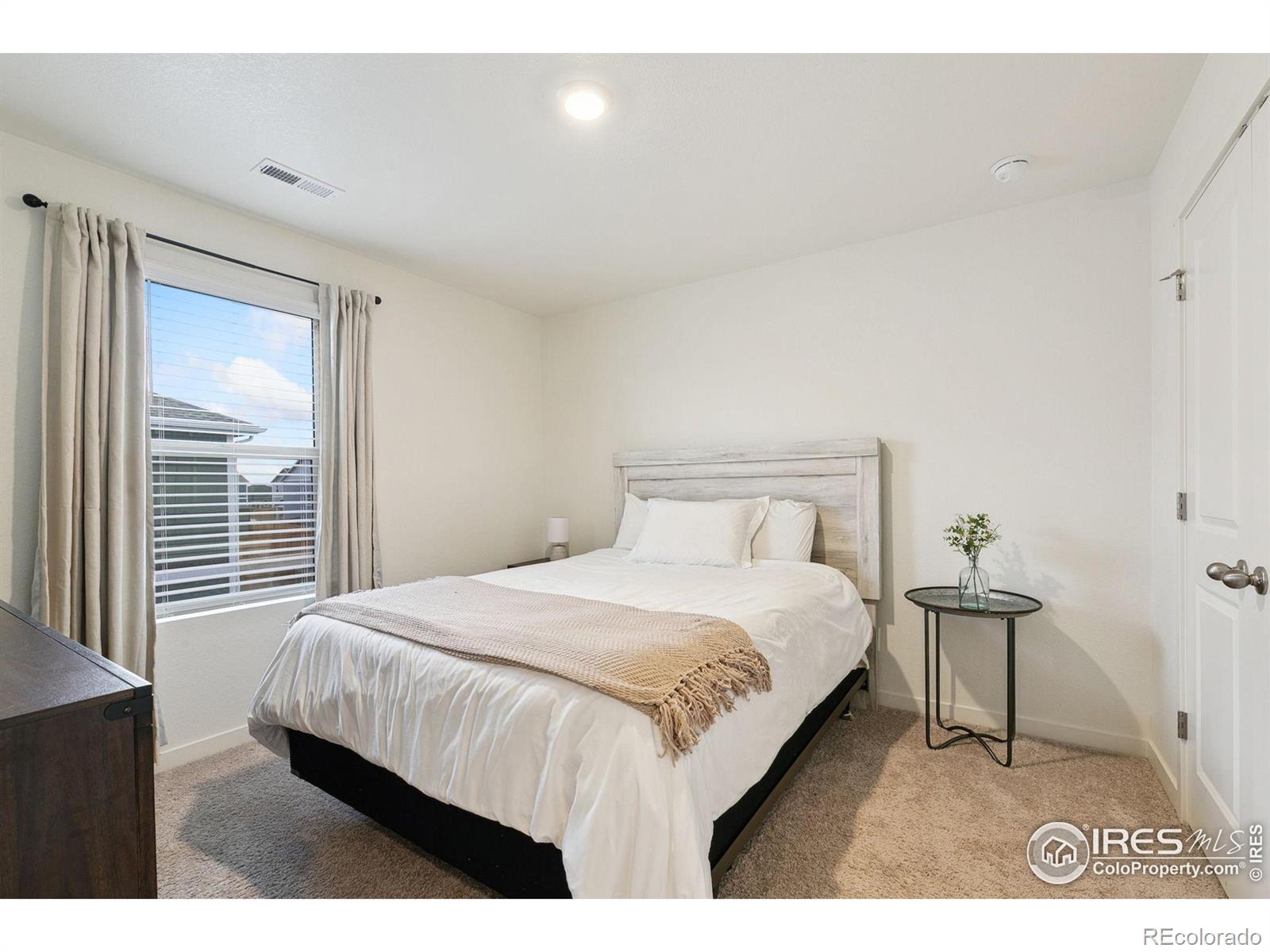 MLS Image #24 for 3771  catmint street,wellington, Colorado