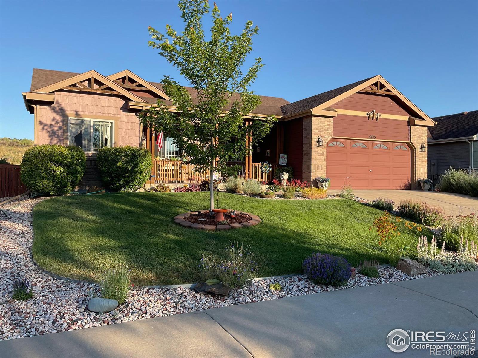 MLS Image #1 for 4475  stump avenue,loveland, Colorado