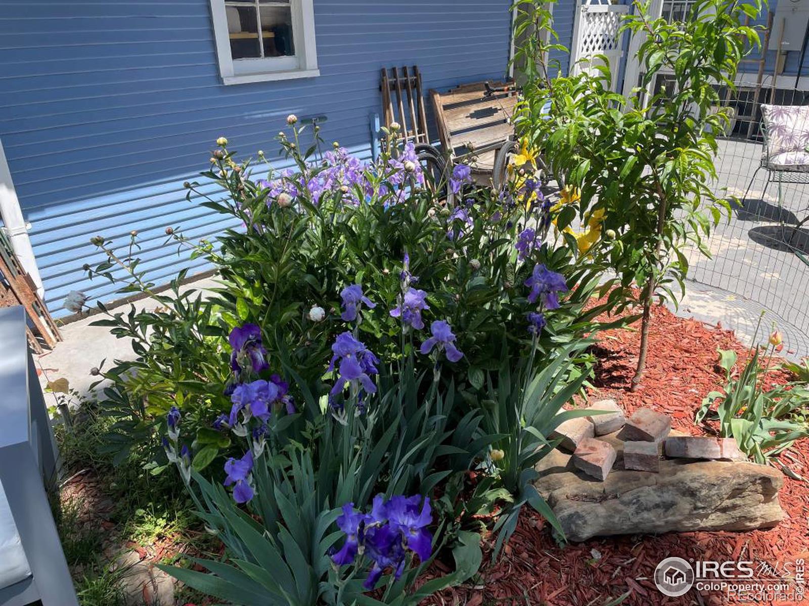 MLS Image #19 for 915 n jefferson avenue,loveland, Colorado