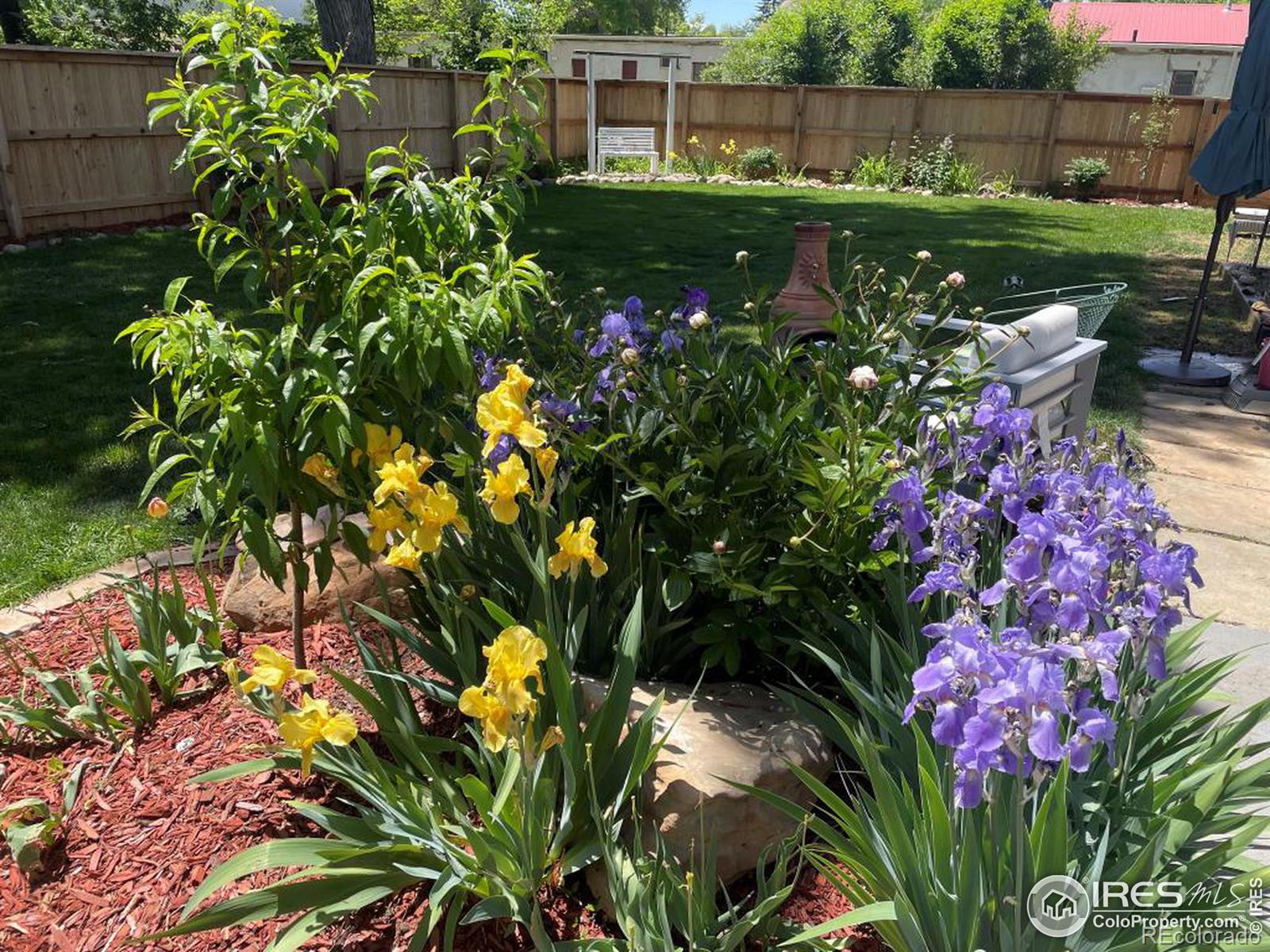 MLS Image #23 for 915 n jefferson avenue,loveland, Colorado