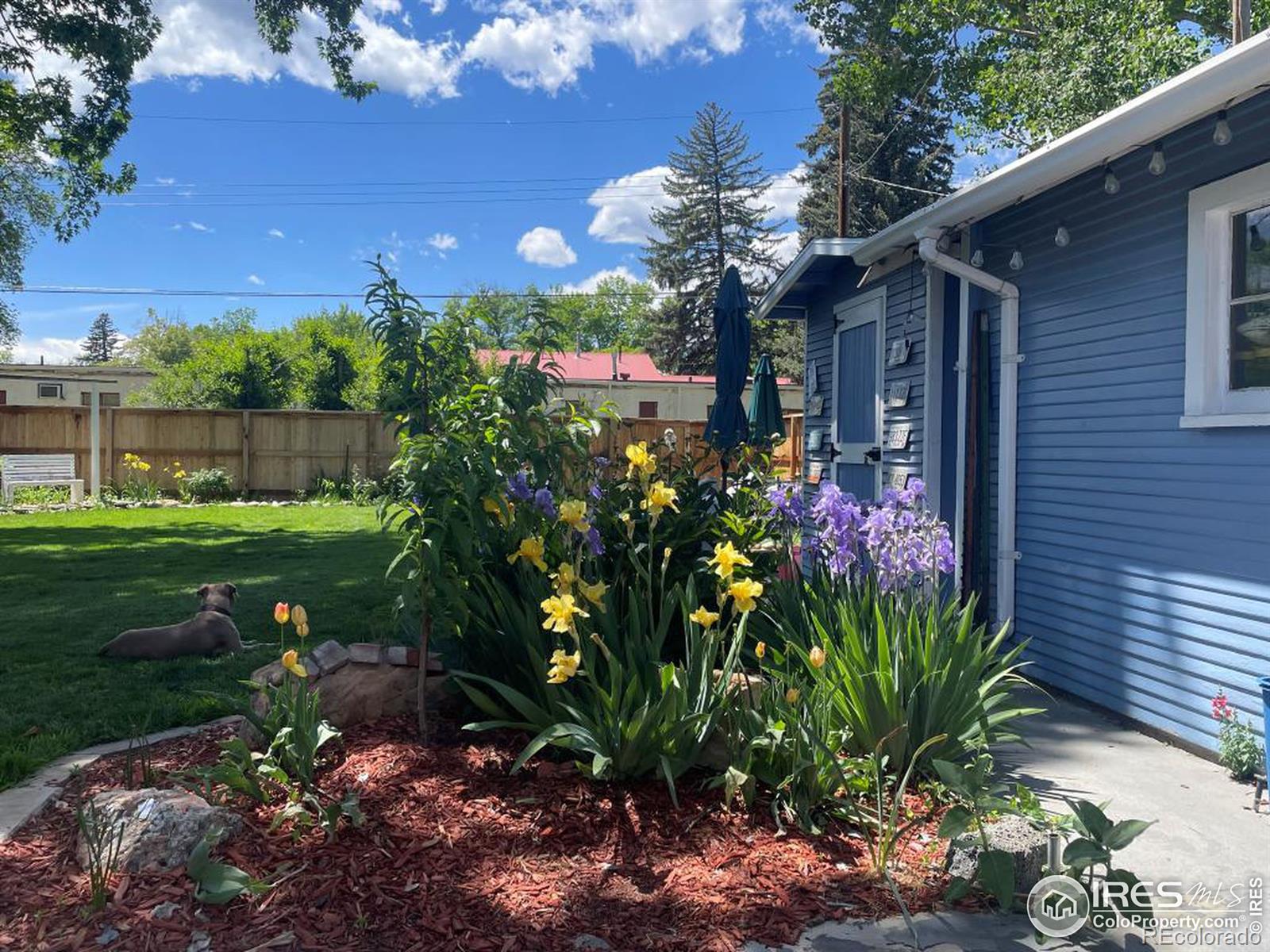 MLS Image #26 for 915 n jefferson avenue,loveland, Colorado