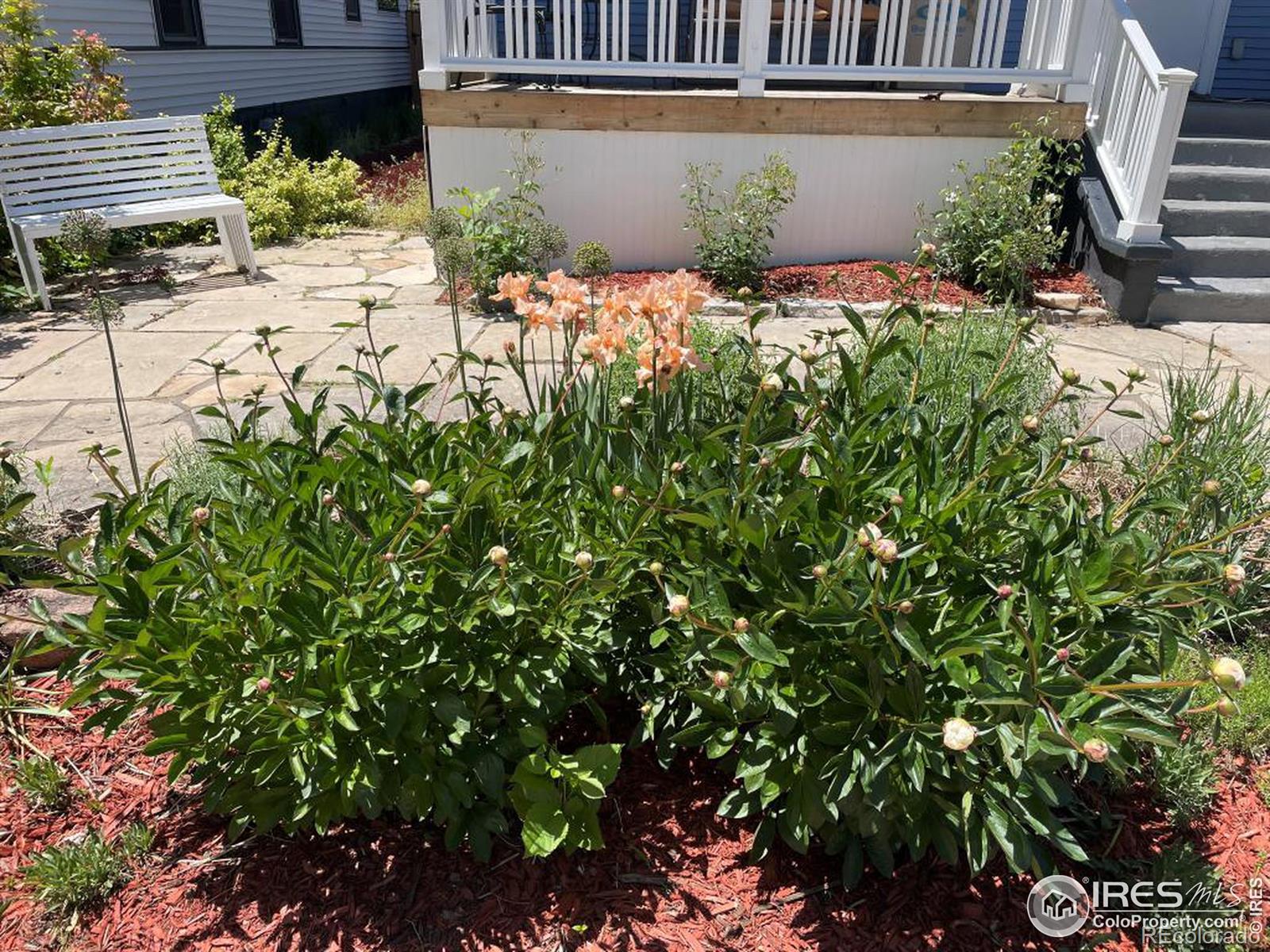 MLS Image #28 for 915 n jefferson avenue,loveland, Colorado