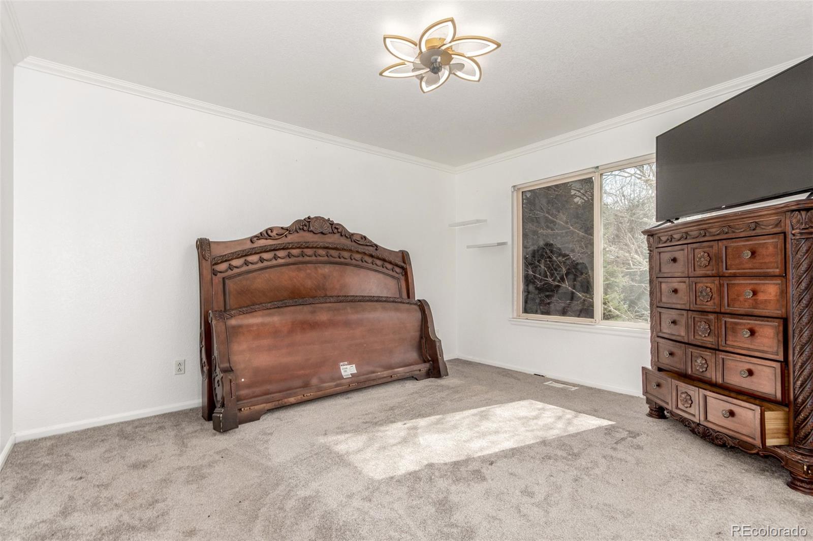 MLS Image #10 for 4602  genoa street,denver, Colorado