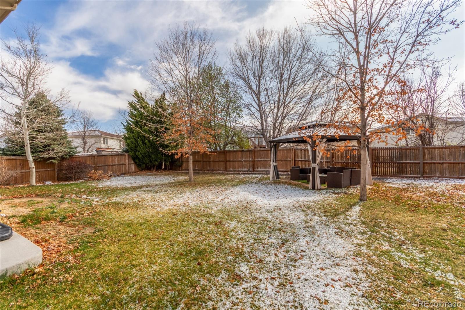 MLS Image #21 for 4602  genoa street,denver, Colorado