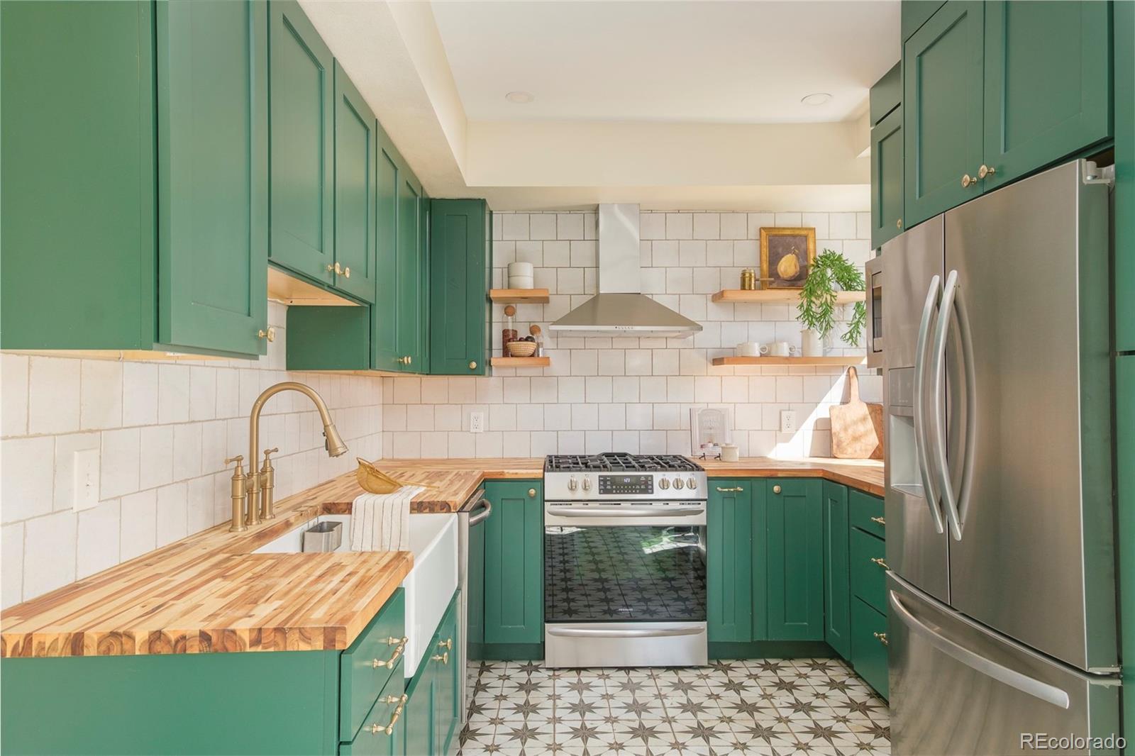 MLS Image #12 for 1244 n downing street,denver, Colorado
