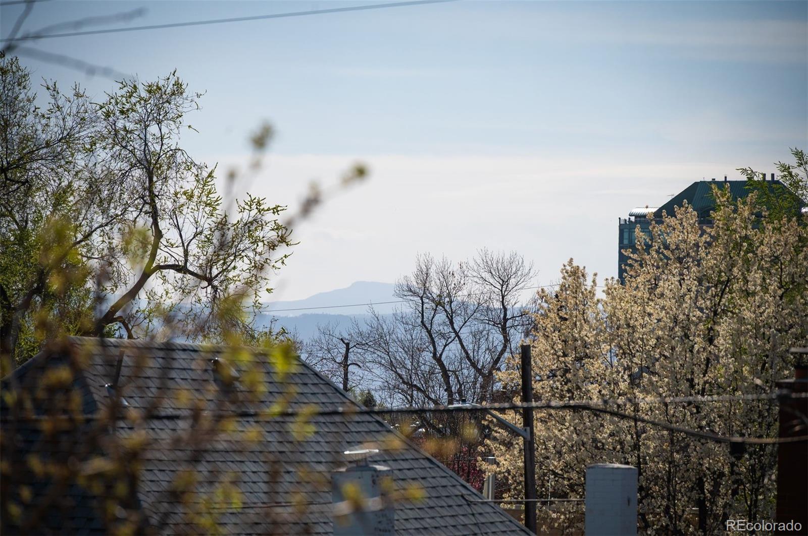 MLS Image #15 for 461 n marion street,denver, Colorado