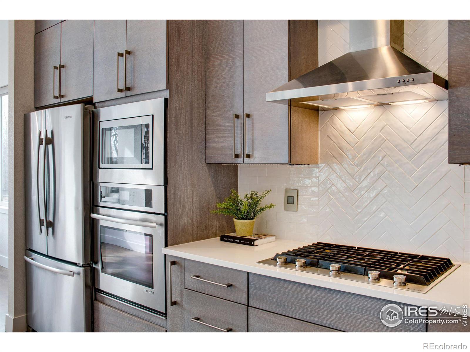 MLS Image #12 for 339  pascal street,fort collins, Colorado