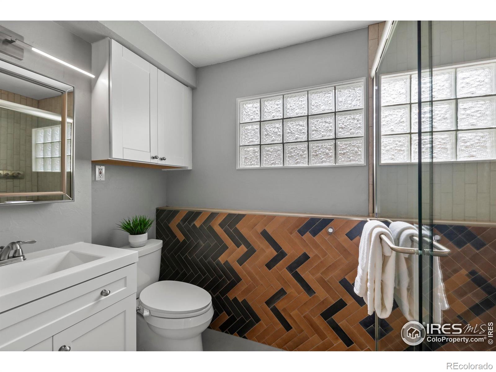 MLS Image #21 for 3903  platte drive,fort collins, Colorado