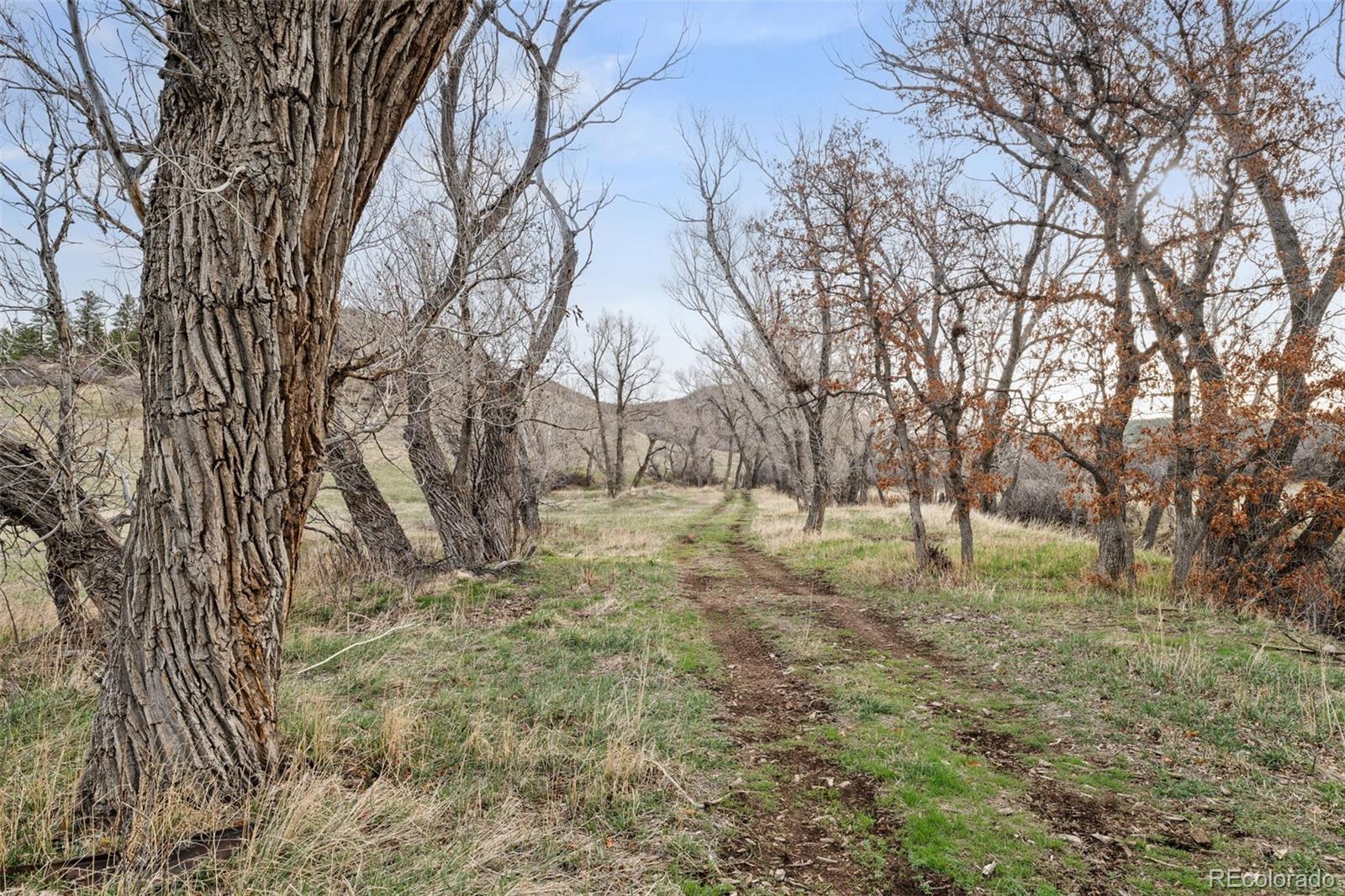 MLS Image #8 for 3316 n state highway 67 ,sedalia, Colorado