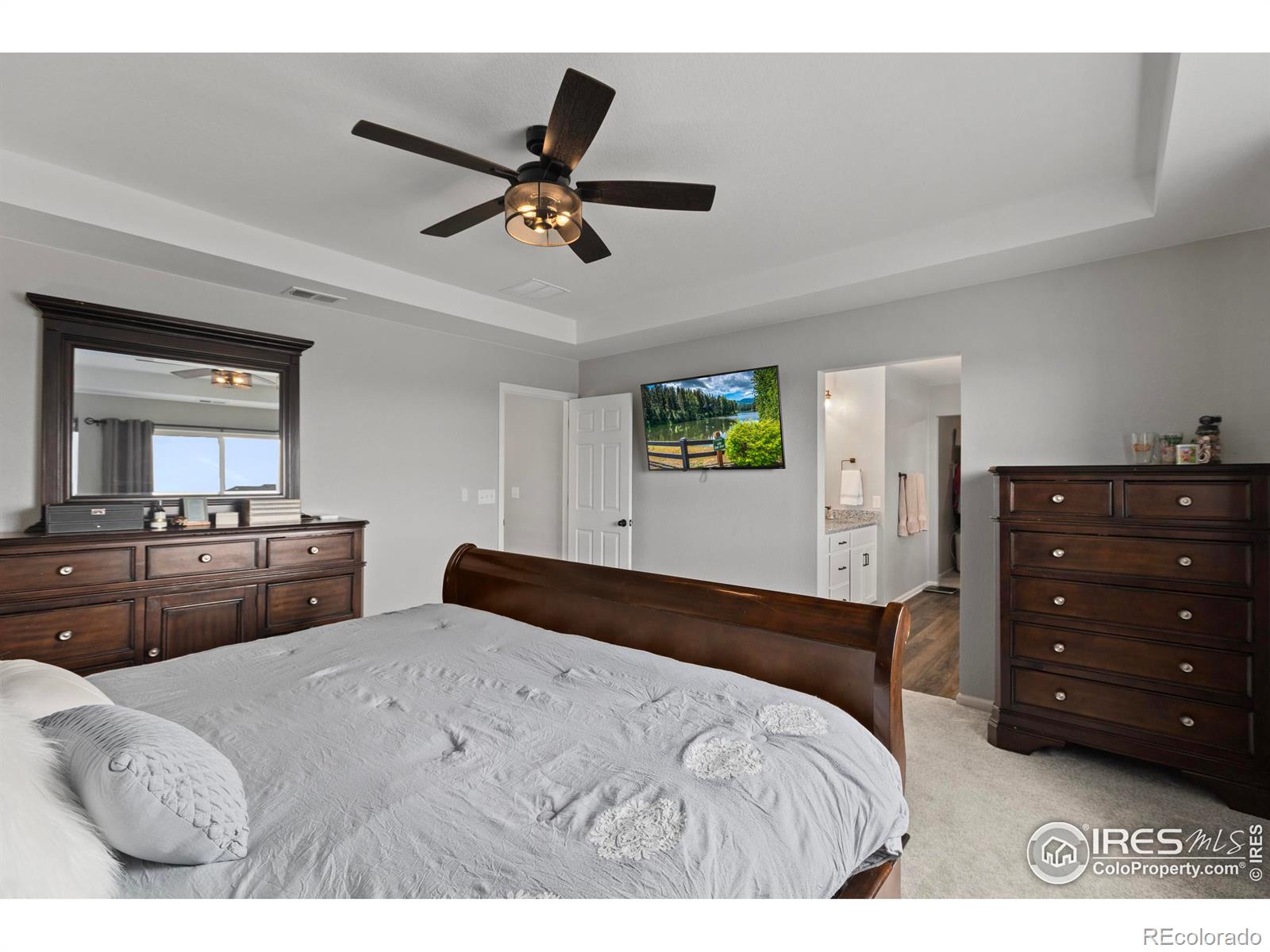MLS Image #17 for 1607  illingworth drive,windsor, Colorado