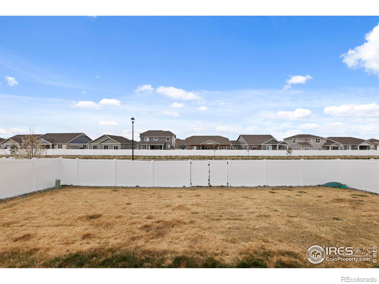 MLS Image #25 for 1607  illingworth drive,windsor, Colorado