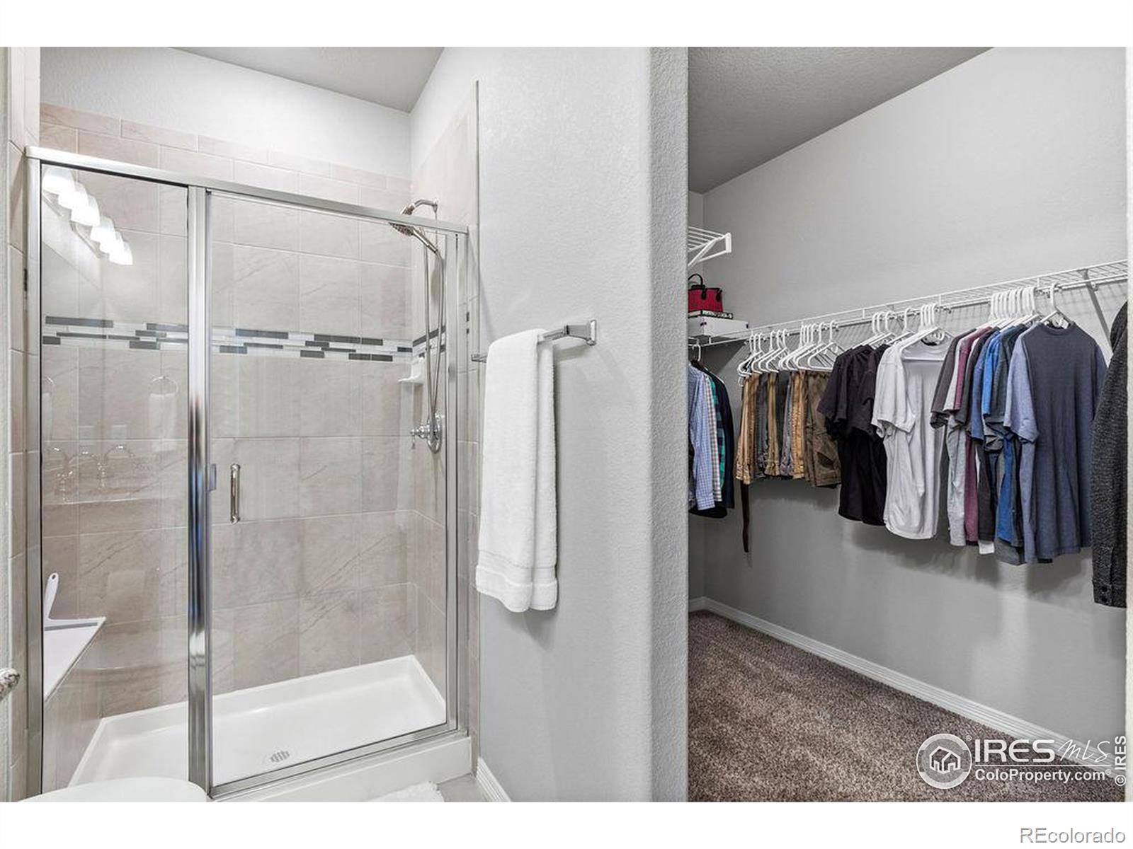 MLS Image #20 for 2473  crown view drive,fort collins, Colorado