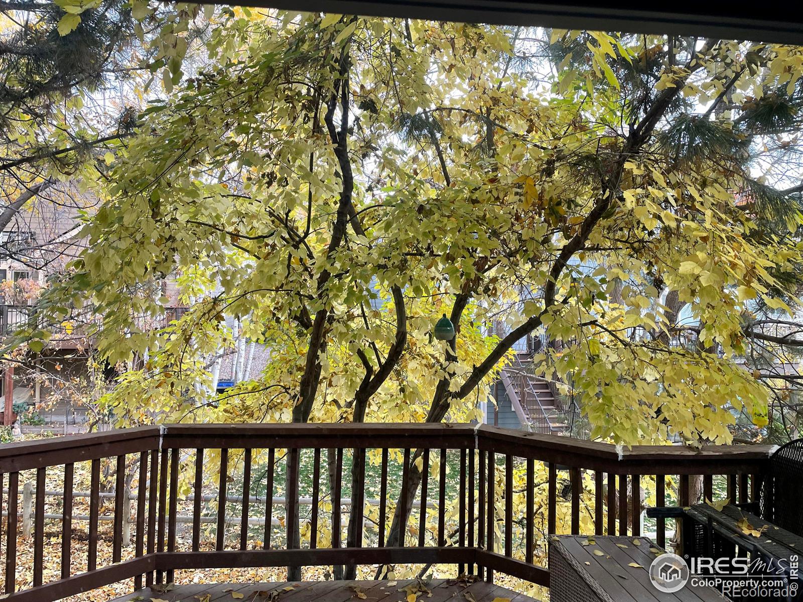 MLS Image #16 for 1224  hawkeye court,fort collins, Colorado