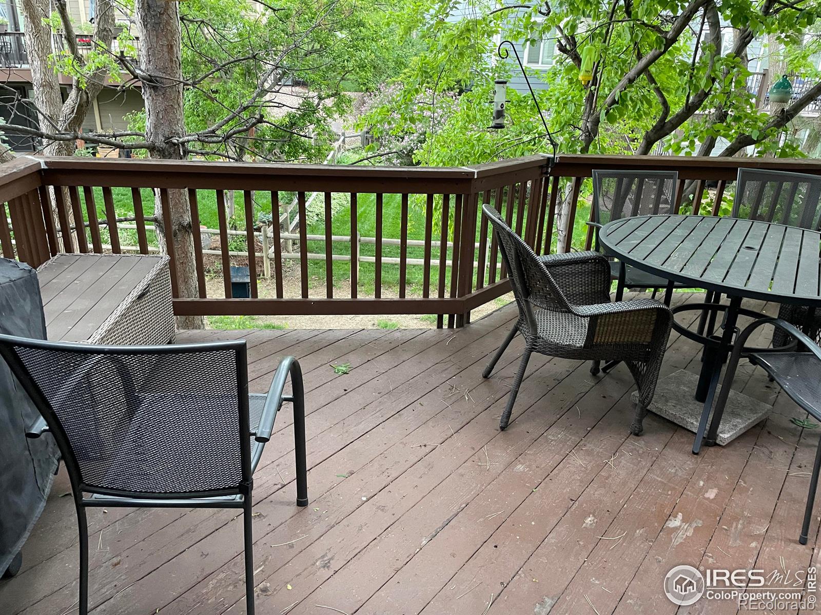 MLS Image #17 for 1224  hawkeye court,fort collins, Colorado