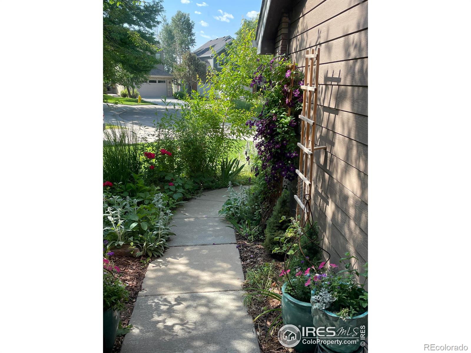 MLS Image #3 for 1224  hawkeye court,fort collins, Colorado