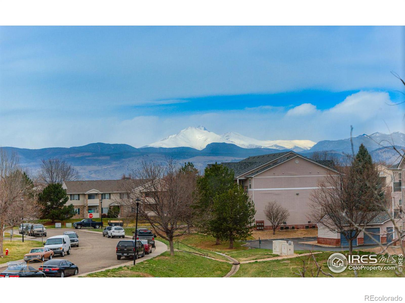 MLS Image #21 for 737  snowberry street,longmont, Colorado