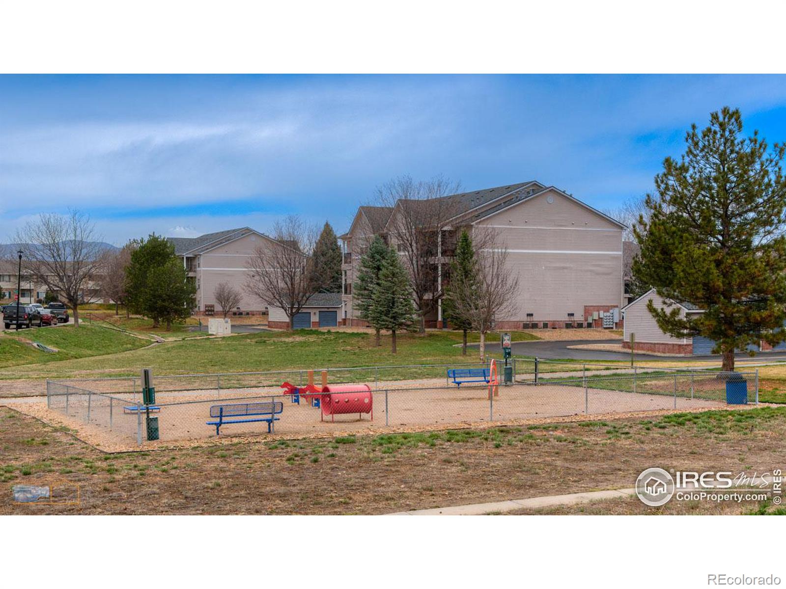 MLS Image #29 for 737  snowberry street,longmont, Colorado