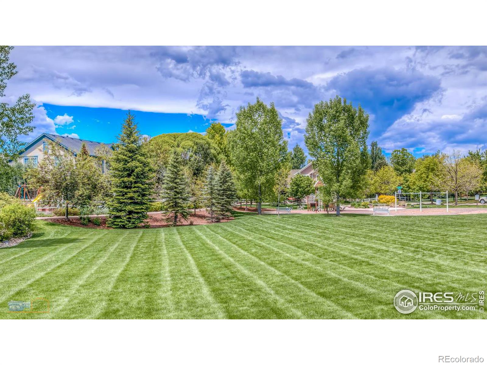 MLS Image #30 for 737  snowberry street,longmont, Colorado
