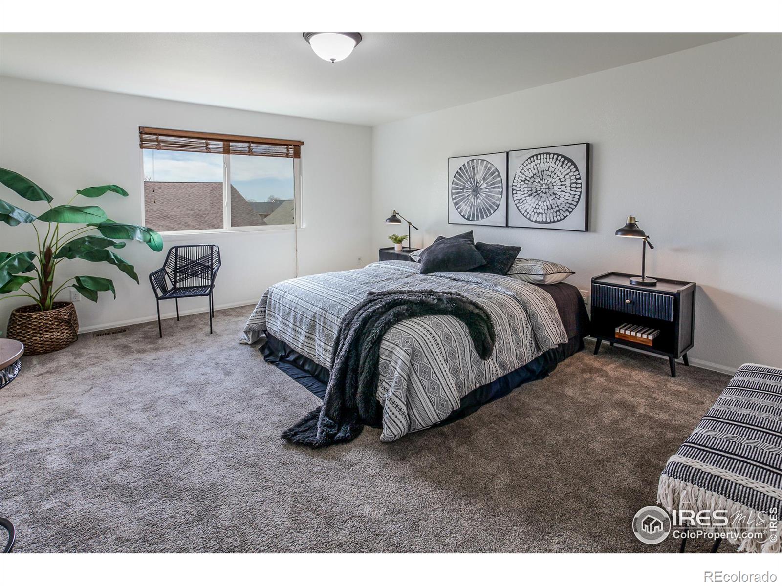 MLS Image #22 for 4191  woodlake lane,wellington, Colorado