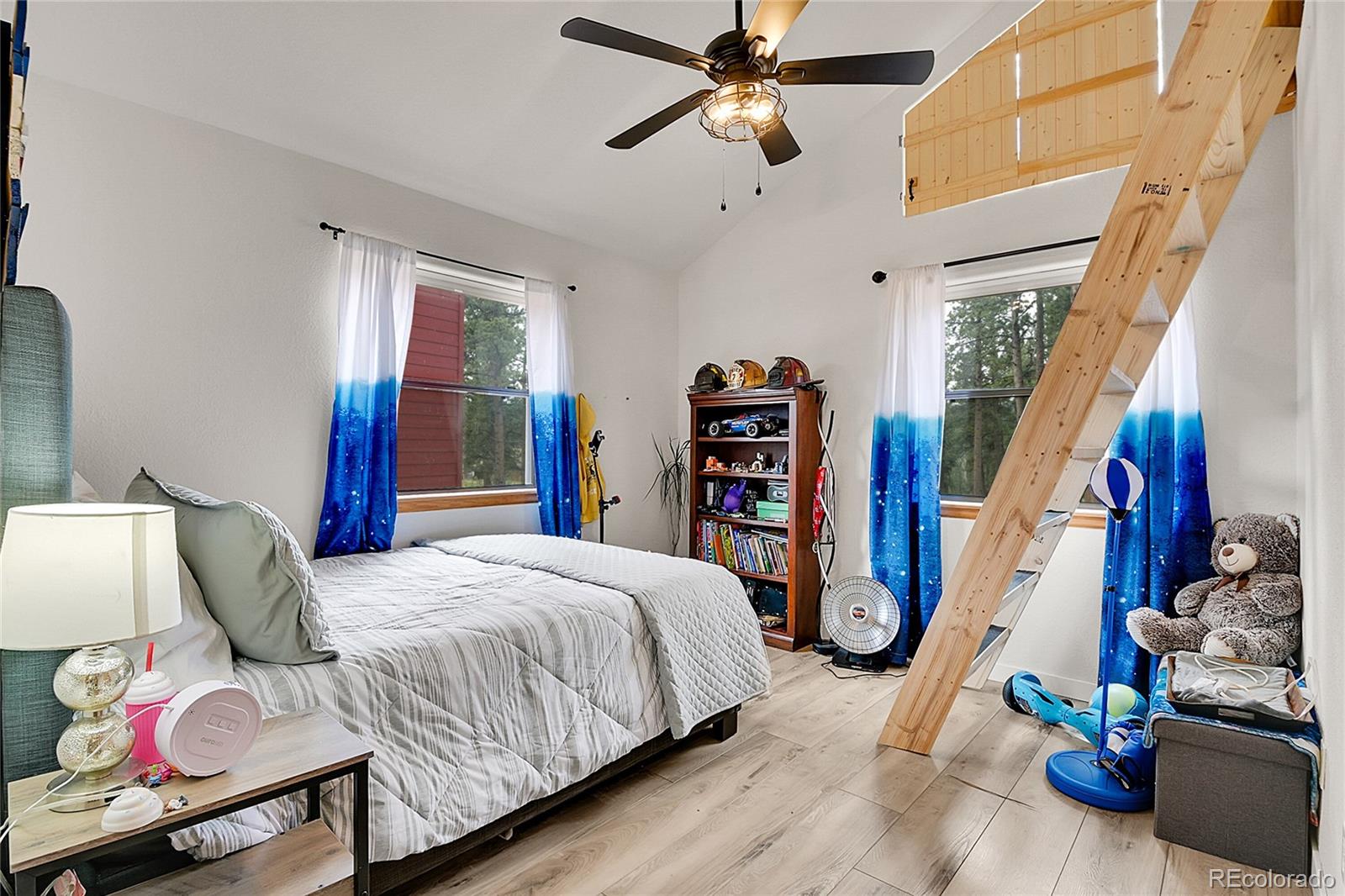 MLS Image #15 for 243  bandit lane,bailey, Colorado