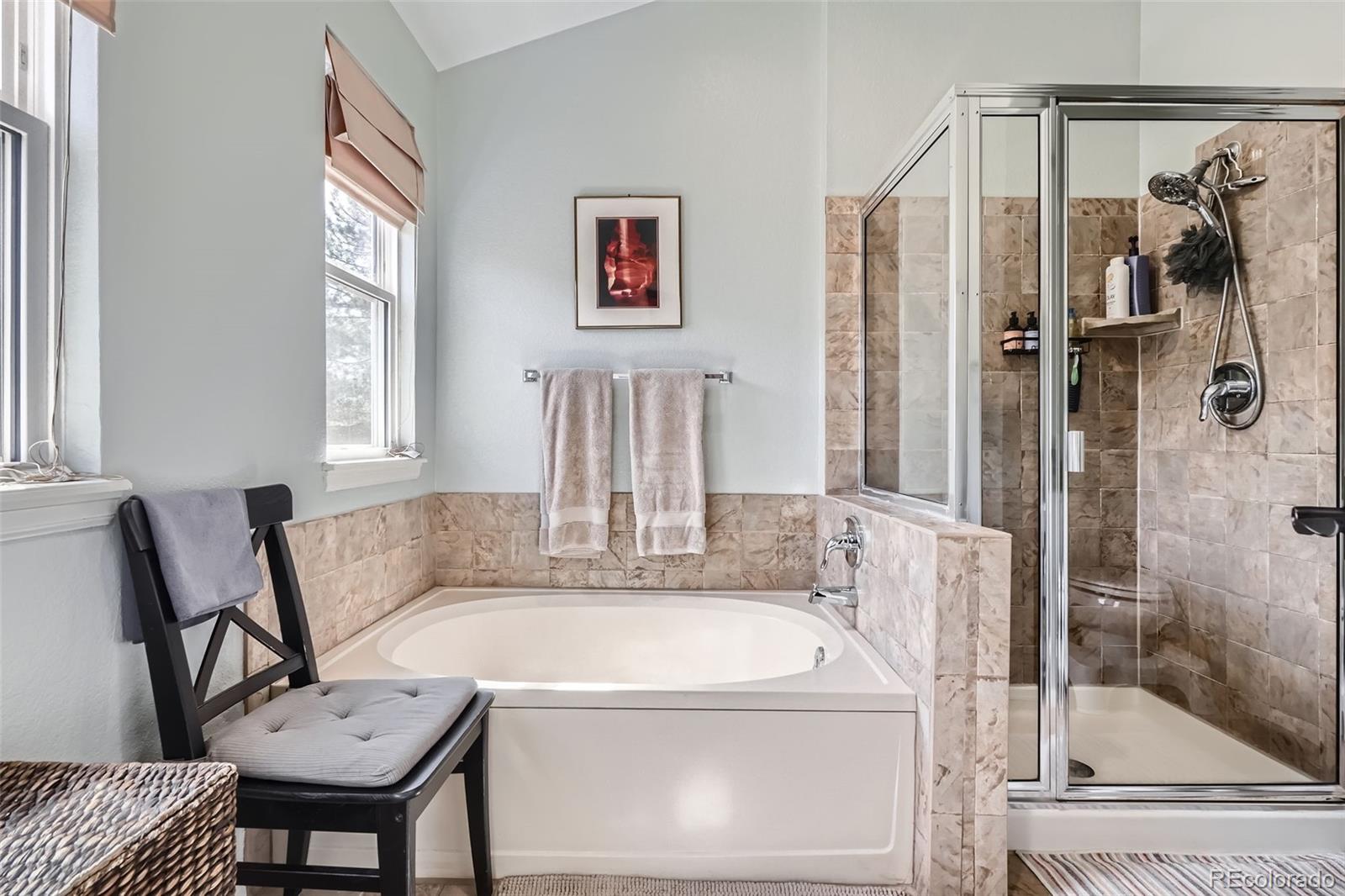 MLS Image #18 for 746  poppywood drive,highlands ranch, Colorado