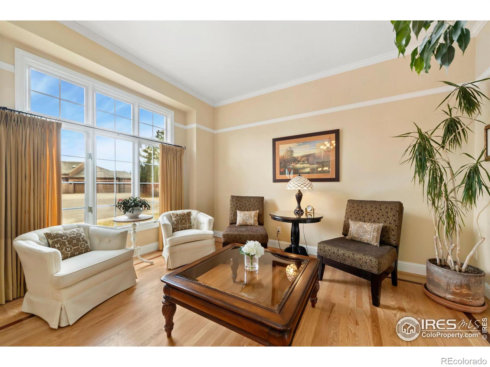 MLS Image #13 for 983  logan court,loveland, Colorado