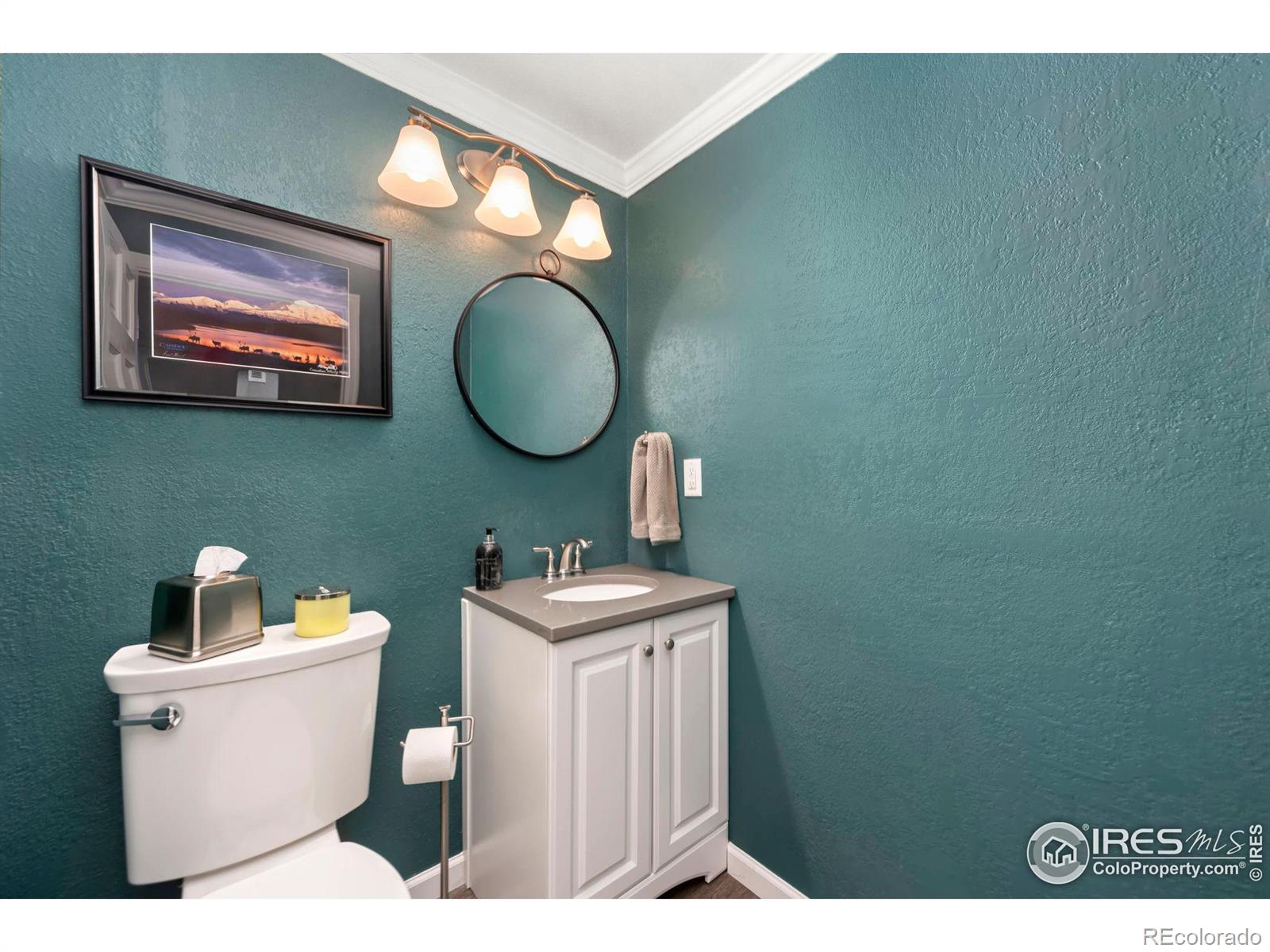 MLS Image #32 for 983  logan court,loveland, Colorado