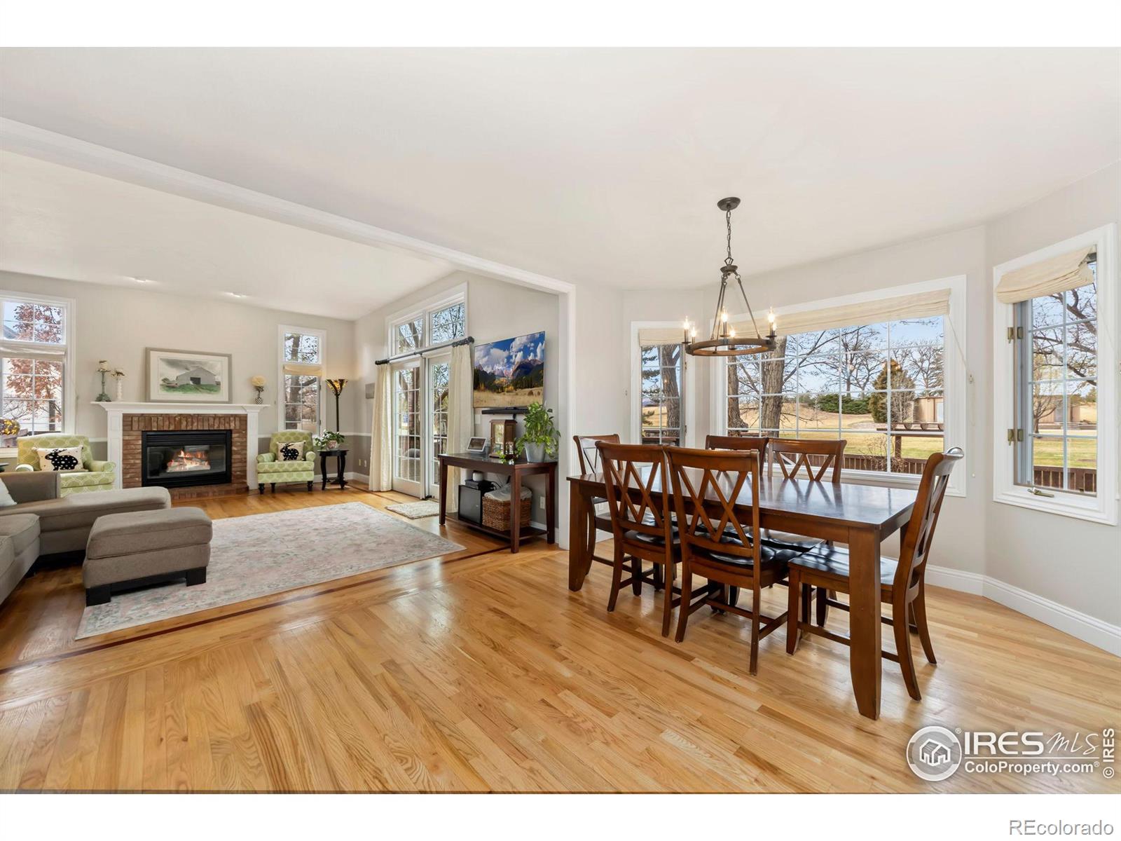 MLS Image #8 for 983  logan court,loveland, Colorado