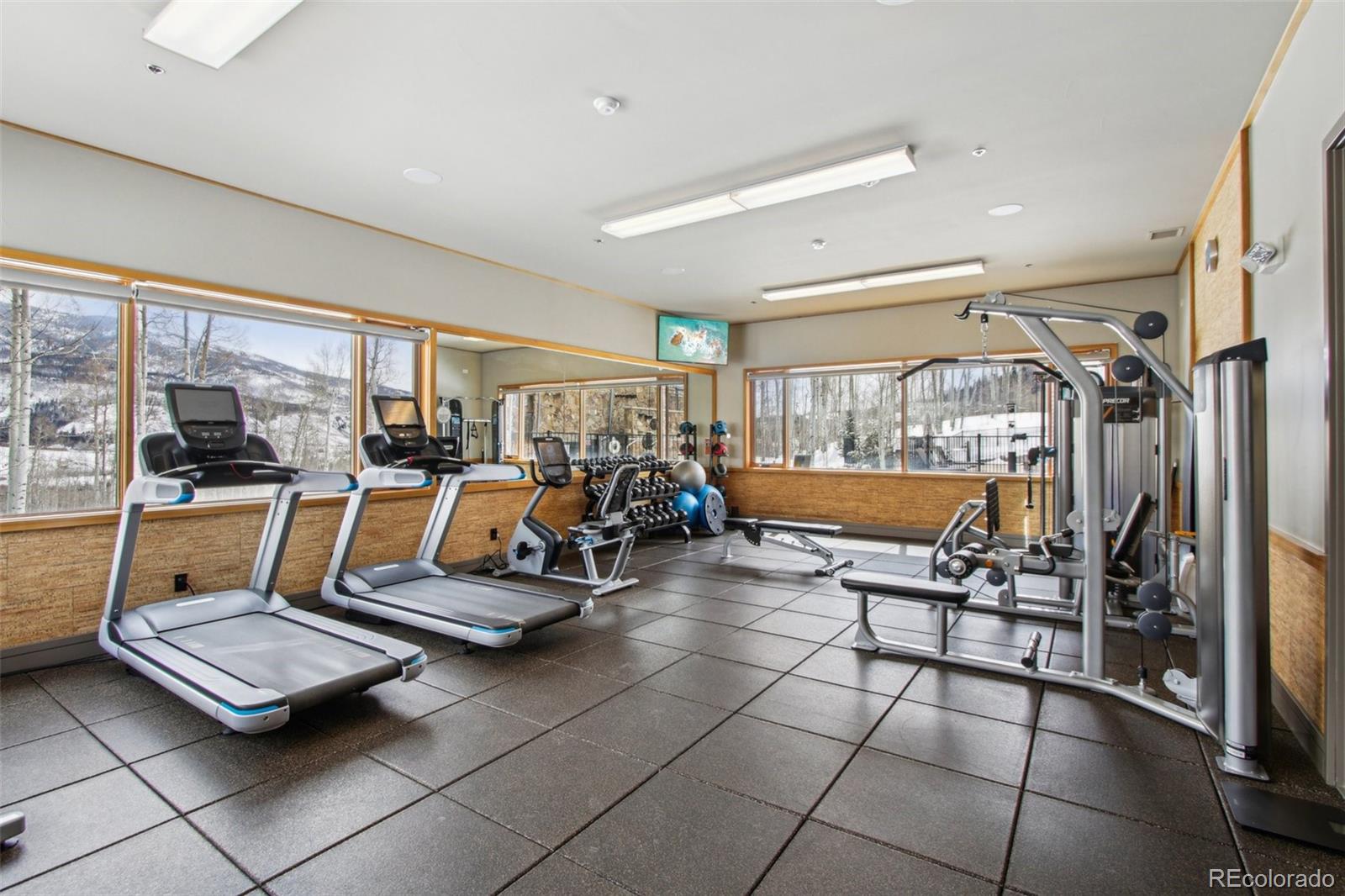 MLS Image #40 for 33  hargrove way,silverthorne, Colorado