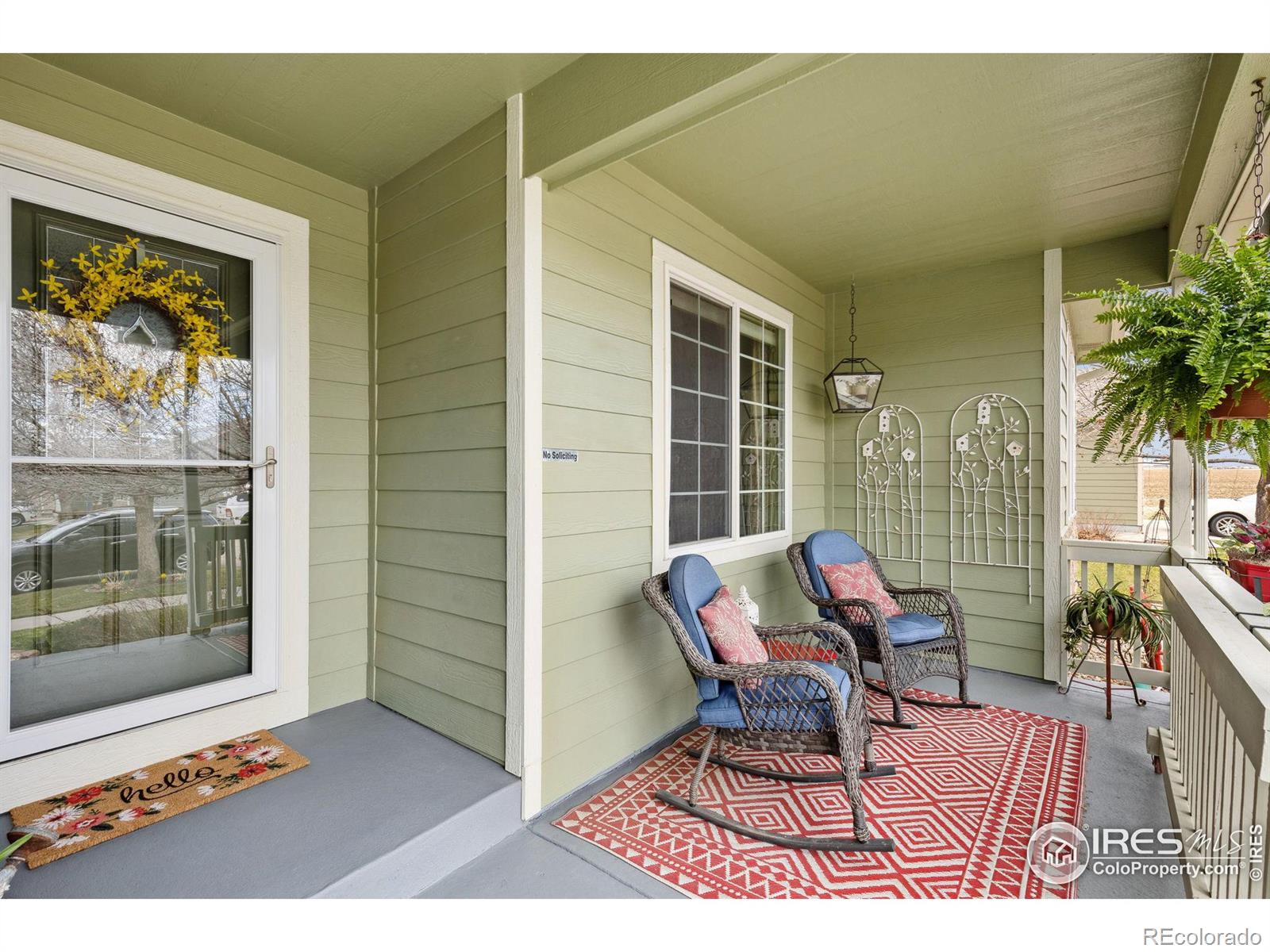 Report Image for 2518  Palmer Avenue,Mead, Colorado