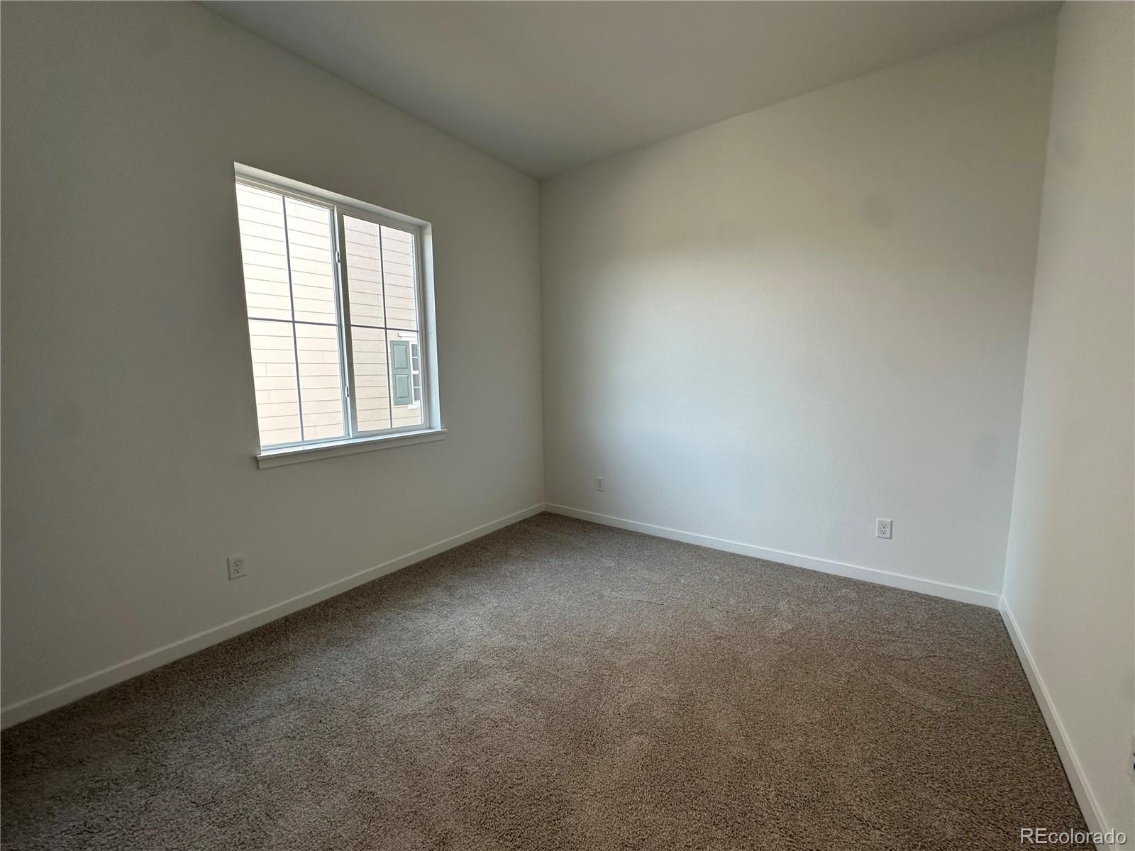 MLS Image #5 for 4065  emerald shore drive,loveland, Colorado