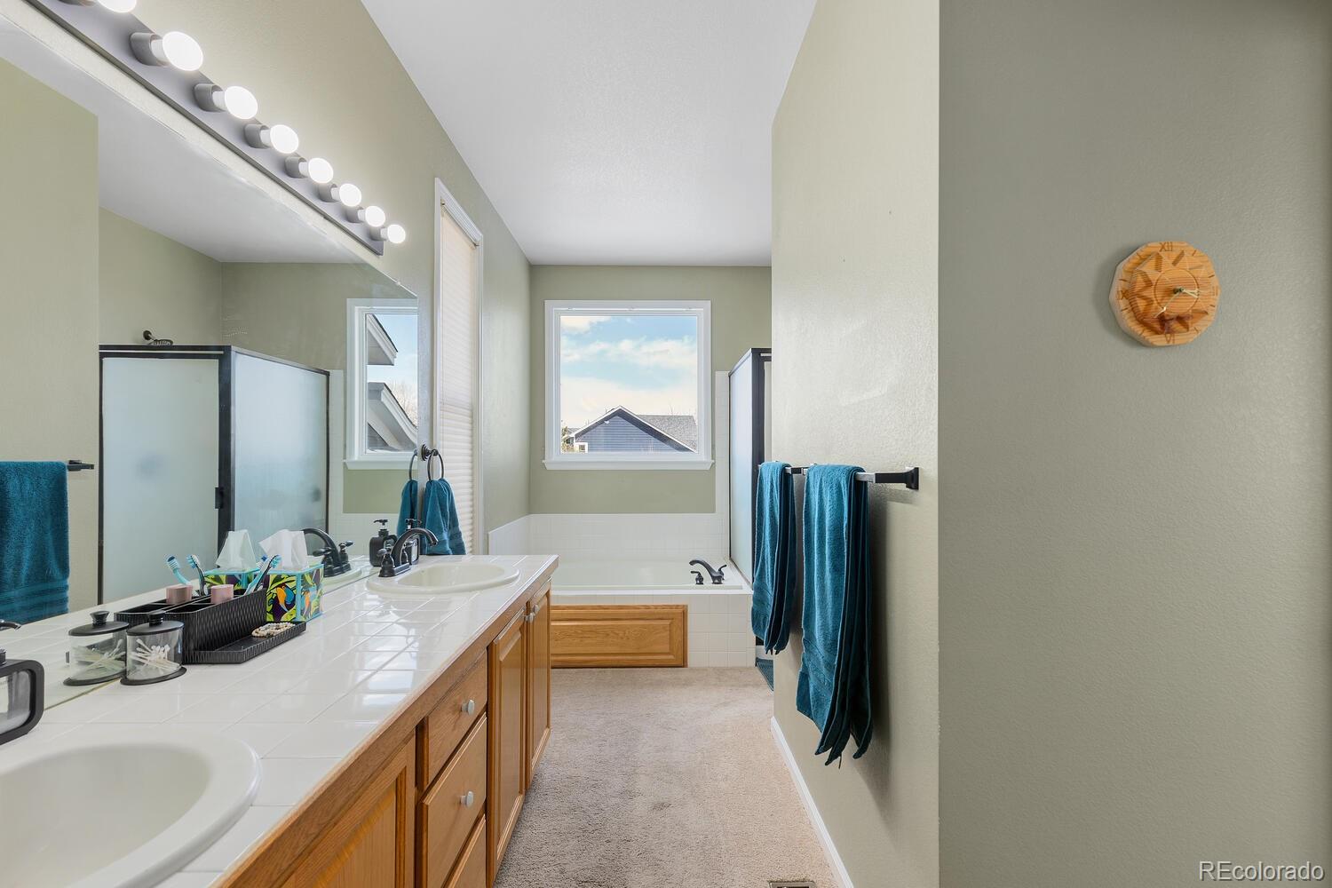MLS Image #20 for 19197 e progress avenue,centennial, Colorado