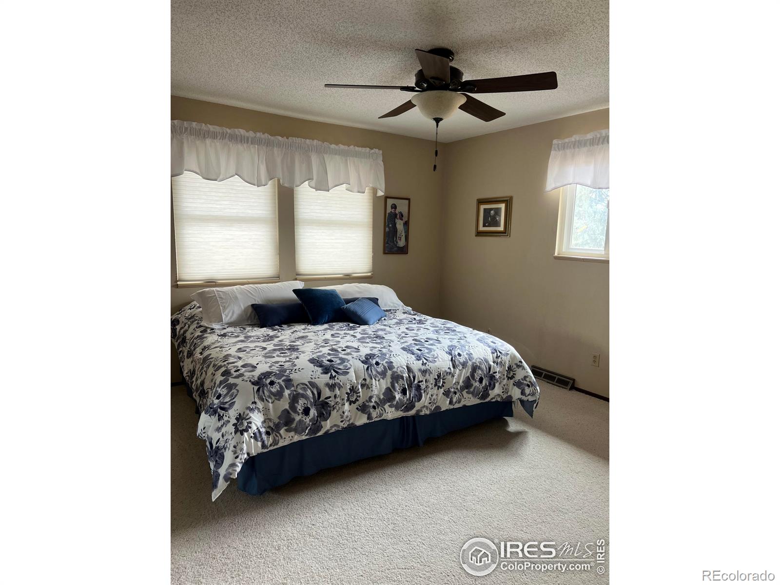 MLS Image #17 for 21  vassar court,longmont, Colorado